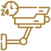 24/7 Security